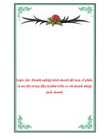 Luận văn: Doanh nghiệp kinh doanh dệt may cổ phần và ưu tiên trong đầu tư phát triển so với doanh nhiệp quốc doanh ppt