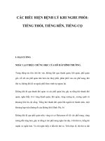 CÁC BIỂU HIỆN BỆNH LÝ KHI NGHE PHỔI: TIẾNG THỔI, TIẾNG RÊN, TIẾNG CỌ doc