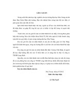 một số giải pháp nhằm hoàn thiện hoạt động xúc tiến bán hàng mặt hàng thuốc thú y thủy sản tại công ty tnhh long sinh