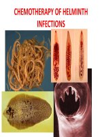 CHEMOTHERAPY OF HELMINTH INFECTIONS potx