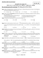 ĐỀ KIỂM TRA HỌC KÌ I - MÃ ĐỀ: 981 ppsx