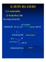 Bài giảng chuyển hóa các chất - Chuyển Hóa Lipid part 4 ppt