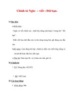 Giáo án Tiếng Việt lớp 3 : Tên bài dạy : Chính tả Nghe – viết : Đôi bạn. potx