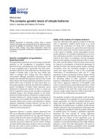 Báo cáo sinh học: 