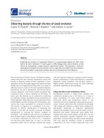 Báo cáo sinh học: 