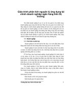 Giáo trình phân tích nguyên lý ứng dụng tài chính doanh nghiệp ngân hàng trên thị trường p1 pptx