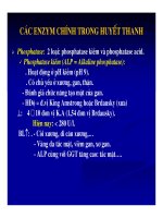 Bài giảng sinh hóa - Máu và dịch não part 5 pdf