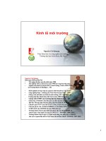 Kinh tế môi trường - Lecture 1 docx