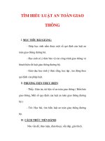 Giáo án Giáo dục công dân lớp 6 : Tên bài dạy : TÌM HIỂU LUẬT AN TOÀN GIAO THÔNG docx