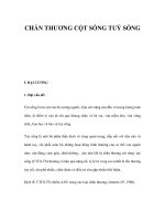 CHẤN THƯƠNG CỘT SỐNG TUỶ SỐNG ppt