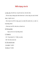 Giáo án Sinh học lớp 6 : Tên bài dạy : Biến dạng của lá ppsx