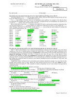 ĐỀ THI THỬ LẦN 1 NĂM HỌC 2010 - 2011 MÔN TIẾNG ANH - Mã đề thi 134 pdf