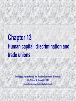 Chương 13 Vốn con người, phân biệt đối xử và công đoàn pot