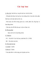 Giáo án Sinh học lớp 6 : Tên bài dạy : Các loại hoa pdf