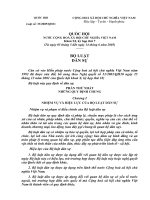 Bộ luật dân sự ppsx