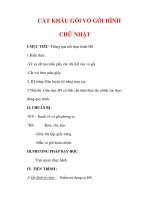 Giáo án Công nghệ lớp 6 : Tên bài dạy : CẮT KHÂU GỐI VỎ GỐI HÌNH CHỮ NHẬT pot