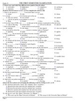 THE FIRST SEMESTER EXAMINATION - TEST 13 pps