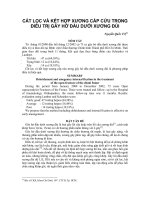 CẮT LỌC VÀ KẾT HỢP XƯƠNG CẤP CỨU TRONG ĐIỀU TRỊ GÃY HỞ ĐẦU DƯỚI XƯƠNG DƯỚI ĐÙI pdf