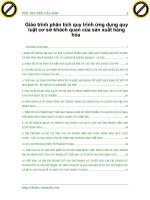 Giáo trình phân tích quy trình ứng dụng quy luật cơ sở khách quan của sản xuất hàng hóa p1 potx