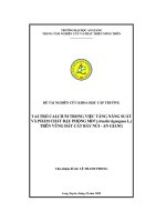 Vai trò calcium trong việc tăng năng xuất và phẩm chất đậu phộng MD7 trên vùng đất cát bảy núi an giang