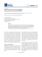 Báo cáo sinh học: 