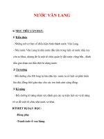 Giáo án Lịch sử lớp 6 : Tên bài dạy : NƯỚC VĂN LANG potx