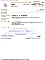 Code Examplets phần 7 docx