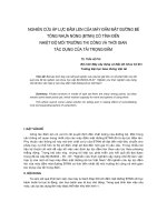 Báo cáo khoa học: 