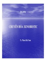 Bài giảng chuyển hóa các chất - Chuyển hóa Xenobiotic part 1 ppt