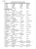 ĐỀ KIỂM TRA HỌC KÌ II NĂM 2011 - Đề số 4 docx