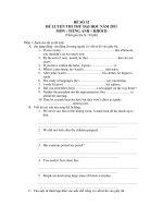 ĐỀ LUYỆN THI THỬ ĐẠI HỌC NĂM 2011 MÔN : TIẾNG ANH – ĐỀ SỐ 32 pptx