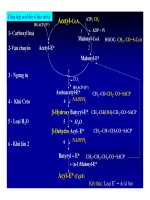 Bài giảng chuyển hóa các chất - Chuyển Hóa Lipid part 6 potx