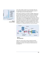 HPLC for Food Analysis phần 9 ppsx