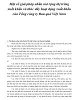 Một số giải pháp nhằn mở rộng thị trờng xuất khẩu và thúc đẩy hoạt động xuất khẩu của Tổng công ty Rau quả Việt Nam_6 pptx