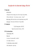 Giáo án Tiếng Việt lớp 3 : Tên bài dạy : Luyện từ và câu mở rộng vốn từ pot