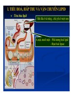 Bài giảng chuyển hóa các chất - Chuyển Hóa Lipid part 2 doc