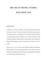 ĐIỀU TRỊ VẾT THƯƠNG- VẾT BỎNG BẰNG THUỐC NAM pdf
