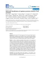 Báo cáo sinh học: 