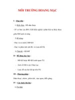 Giáo án ĐỊa lý lớp 7 : Tên bài dạy : MÔI TRƯỜNG HOANG MẠC ppt