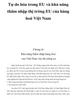 Tự do hóa trong EU và khả năng thâm nhập thị trờng EU của hàng hoá Việt Nam _5 pdf