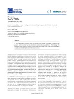 Báo cáo sinh học : 