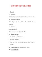 Giáo án ĐỊa lý lớp 7 : Tên bài dạy : CÁC KHU VỰC CHÂU PHI ppt