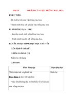 Giáo án lớp 7 môn Công Nghệ: Bài 14 LỢI ÍCH CỦA VIỆC TRỒNG RAU, HOA pptx