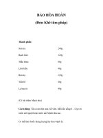 BẢO HÒA HOÀN (Đơn Khê tâm pháp) docx