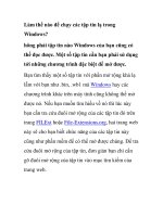 Làm thế nào để chạy các tập tin lạ trong Windows? pps