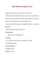 Giáo án Sinh học lớp 6 : Tên bài dạy : Đặc điểm bên ngoài của lá ppsx