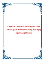 Luận văn: Đảm bảo tín dụng của chính phủ và giảm thiểu rủi ro trong hoạt động ngân hàng hiện đại pot