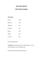BẢO HÒA HOÀN (Đơn Khê tâm pháp) pdf