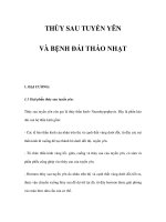 THÙY SAU TUYẾN YÊN VÀ BỆNH ĐÁI THÁO NHẠT pps