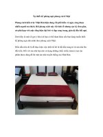 Tự thiết kế phòng ngủ phong cách Nhật pptx